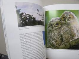 Pohjanpitäjänlahti - aikavaellus