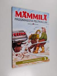 Pässimäestä peltihalliin