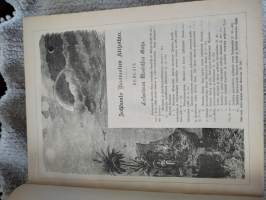 V. 1901 Kuvaraamattu