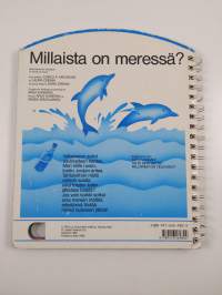 Millaista on meressä?