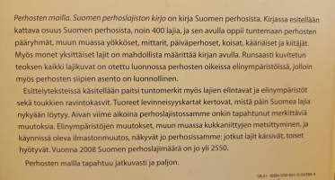 Perhosten mailla