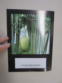Hasselblad - The System, camerasystem -brochure in english / kameraesite