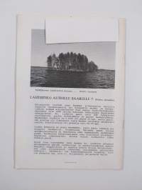 Siipirikko 1/1990