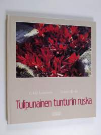 Tulipunainen tunturin ruska