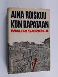 Aina roiskuu kun rapataan : poliisiromaani