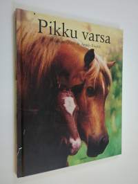 Pikku varsa