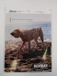 Koirat 5/2007