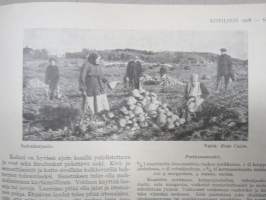 Kotiliesi 1928 nr 18, Kansikuva K. Kuutola - Vanha äiti, Suomalaisia maalaistaloja mm Untamala Laitila - Kanajärvi Kalvoila, Vastasyntyneiden kylvettäminen...