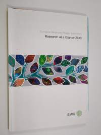 European molecular biology laboratory : Research at a glance 2013