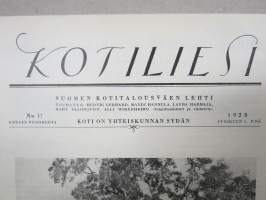 Kotiliesi 1928 nr 17, Kansikuva Eric Wasström - Ryijynkutojia, Oma koti ja rakentamisvarat, Münchenin kotitalousnäyttely, Pesuvaatteiden loppukäsittely maalla...