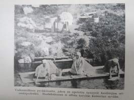 Kotiliesi 1928 nr 15, Kansikuva Hanna Rönnberg - Saariston tyttö, Lasten kasvattamisesta, Kotihyönteisemme, Kaupunkilaisen kokemuksia vaatteidenpesusta, Kesäkäsityö