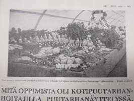 Kotiliesi 1929 nr 21, Kansikuva Anna Sahlstén - Leipoja, Puutarhanäyttely, Säästäväisyys, Kodinsisustusnäyttely, Kahvin vaikutus, Jänis ruokana, Kintaita, ym.