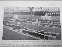 Kotiliesi 1929 nr 21, Kansikuva Anna Sahlstén - Leipoja, Puutarhanäyttely, Säästäväisyys, Kodinsisustusnäyttely, Kahvin vaikutus, Jänis ruokana, Kintaita, ym.