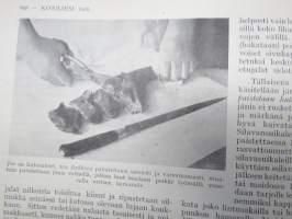 Kotiliesi 1929 nr 21, Kansikuva Anna Sahlstén - Leipoja, Puutarhanäyttely, Säästäväisyys, Kodinsisustusnäyttely, Kahvin vaikutus, Jänis ruokana, Kintaita, ym.