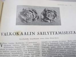 Kotiliesi 1929 nr 18, Kansikuva Vilho Sjöström - Aidalla, Pikkulapsi ja pahat voimat, Anna Sahlstén 70 v., Berliinin Kaasu- ja vesinäyttely, Vauvanvaatteet, Kaali ym