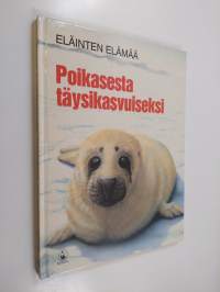 Poikasesta täysikasvuiseksi