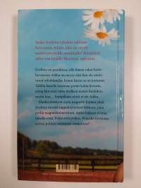 Kaukana hevosten maa