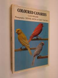 Coloured canaries