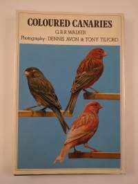 Coloured canaries