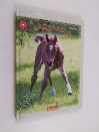 Varsakirja