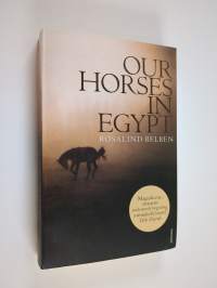 Our horses in Egypt