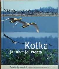 Kotka ja tuhat joutsenta - Äyräpään lintuparatiisi. (Luontokirja, kuvakirja)