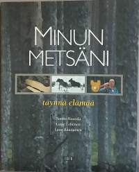 Minun metsäni - täynnä elämää. (Tasapainoinen metsänhoito)