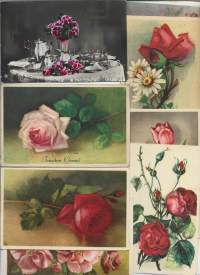 Kukkapostikortti  7 kpl sekal erä  postikortti