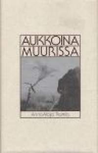 Aukkoina muurissa