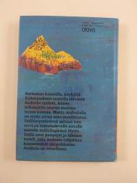 Delfiinikesä