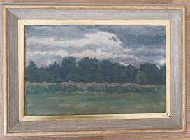 Amadeus Bianchini, maisema , öljymaalaus  levylle sign   31x43 cm