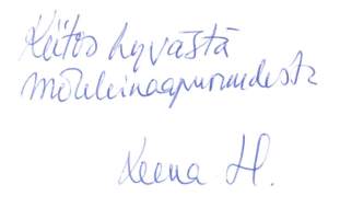 Mökkini mun