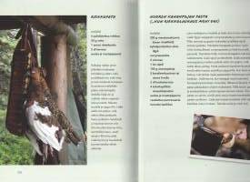 Paska reissu, mutta tulipahan herkuteltua