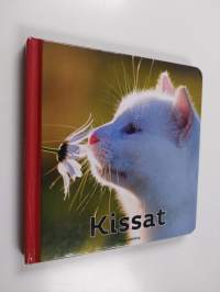 Kissat