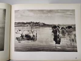 Suomi on kaunis - kuvateos