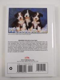 Bearded Collie