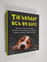 Tio hundar och en katt