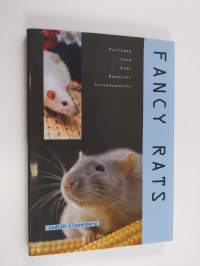 Fancy Rats