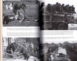 Vankisurmat  -Neuvostosotavankien laittomat ampumiset jatkosodassa