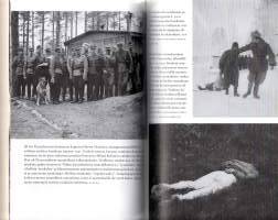 Vankisurmat  -Neuvostosotavankien laittomat ampumiset jatkosodassa