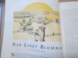 Husmoderns Jul 1930 -jultidning / ruotsalainen joululehti