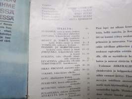 Ahkeraliisa 1965 nr 1 - suuri neulemallio