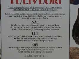 Tulivuori