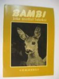 Bambi joka asettui taloksi