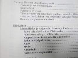 Raahen tienoon historia 1 - Salon emäpitäjän ja Raahen kaupungin historia esihistoriasta isonvihan loppuun