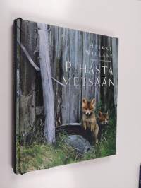 Pihasta metsään (signeerattu)