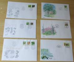 FCD Ensipäiväkuori 6 kpl erilaisia