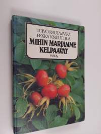 Mihin marjamme kelpaavat