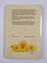 Aurinkopoika