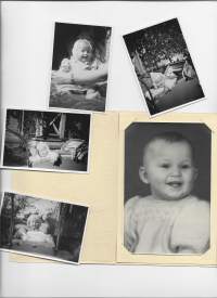 Lapsia 1949  valokuva 5 kpl erä